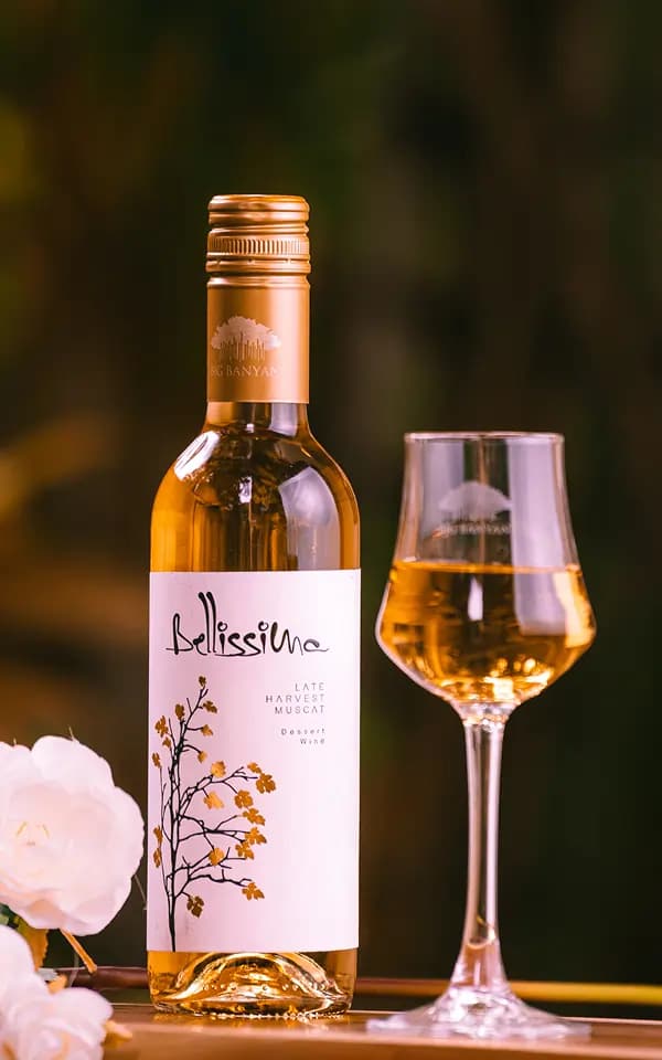 BELLISSIMA wine 1