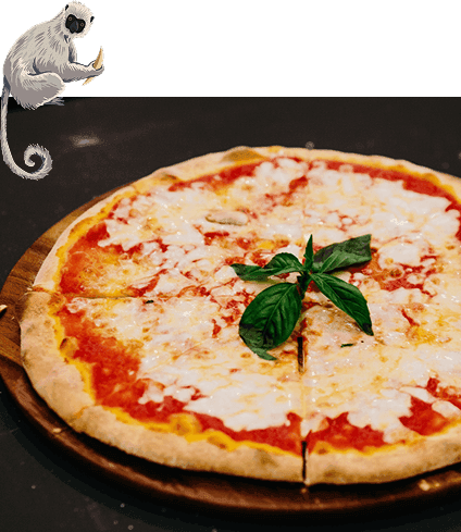 Margherita pizza