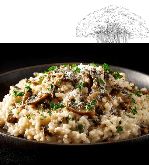 Mushroom Risotto