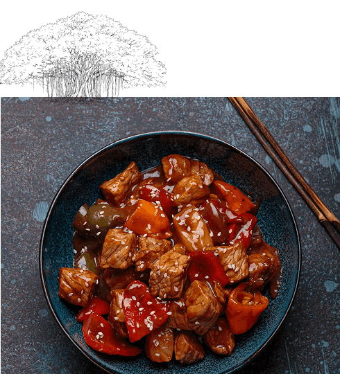 Sweet and Sour Pork