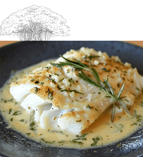 Fish in light cream sauces