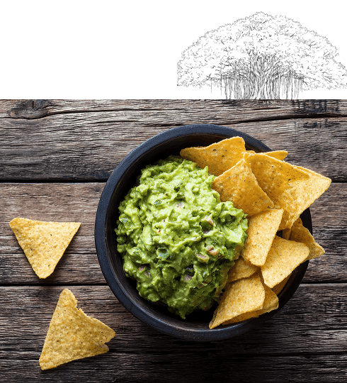 Guacamole