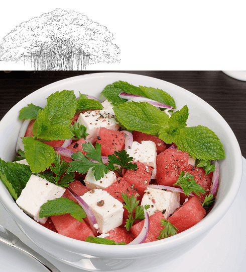 Watermelon and feta salad