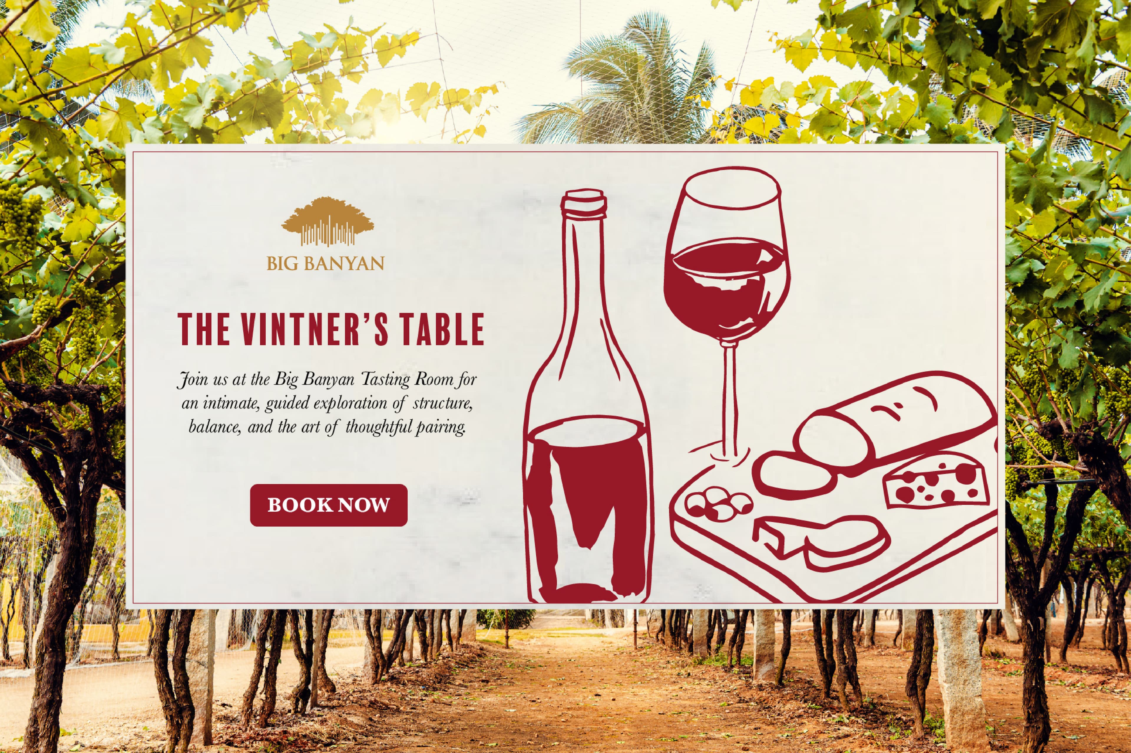 Outdoor cinema night at Big Banyan Vineyard