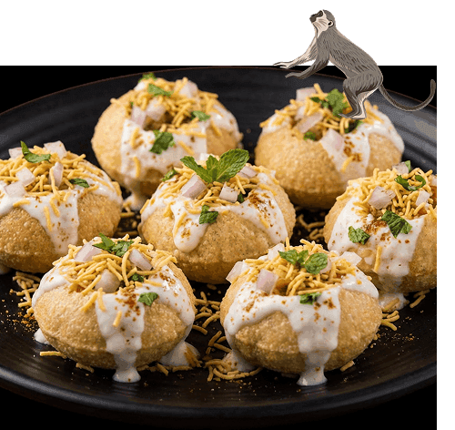 Dahi puri