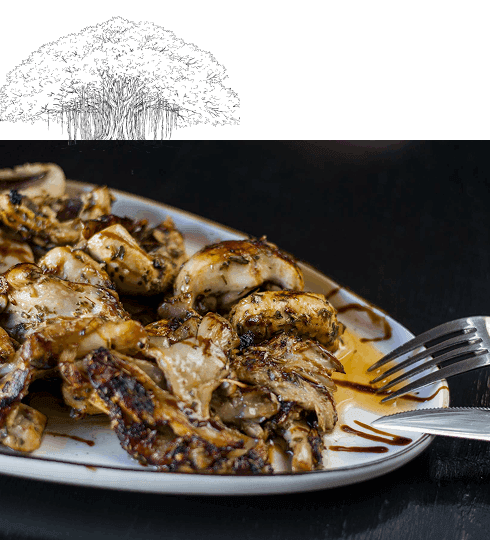 Malai Tandoori Broccoli