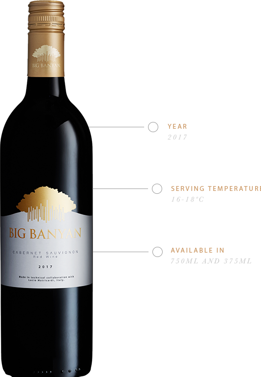 What does Big Banyan Cabernet Sauvignon taste like
