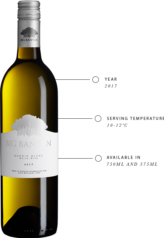 Know more about Big Banyan Chenin Blanc White Wine taste like