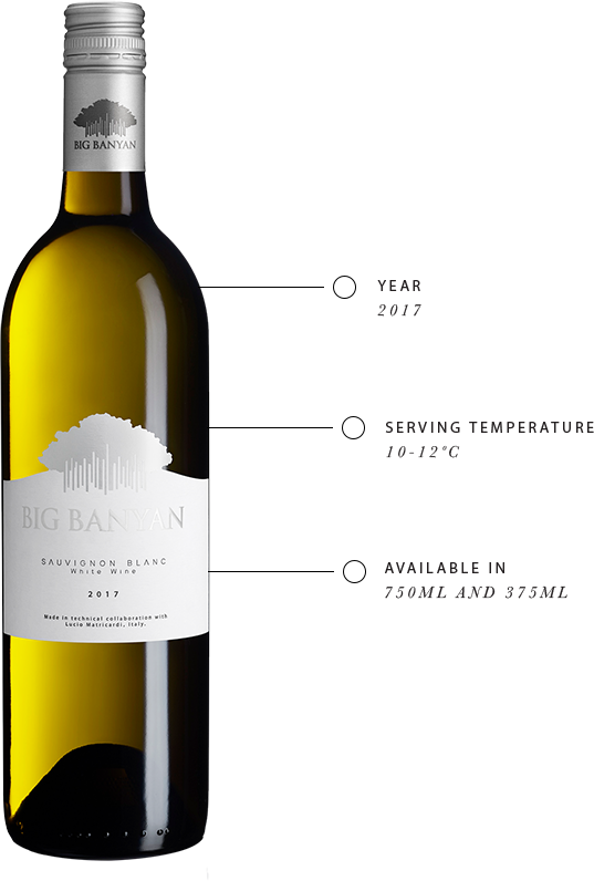 Know more about Big Banyan Sauvignon Blanc White Wine