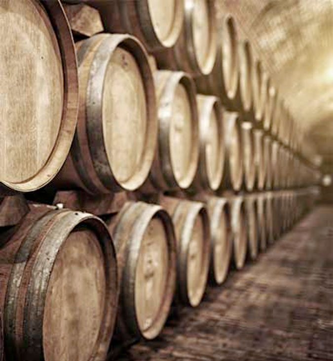 the winery - wine barrels