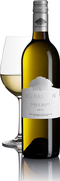 Big Banyan Merlot Red Wine (Fruit) - DrinksBuff